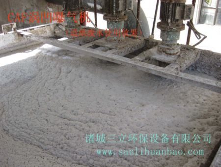 点击查看详细信息<br>标题：CAF涡凹气浮机使用现场 阅读次数：15452